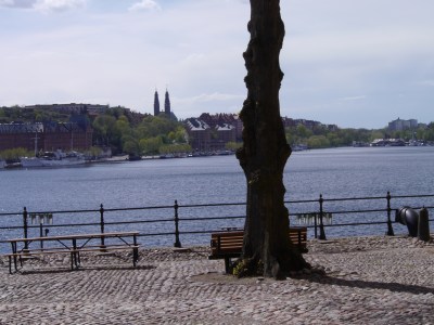 Not so distant shores