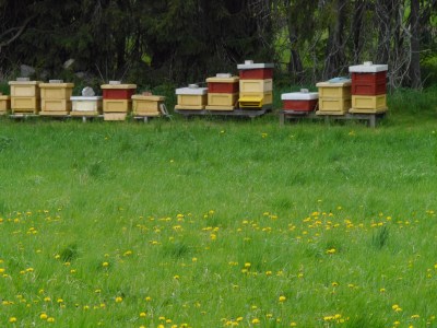 Even the bee hives are painted red for brick and yellow for stone