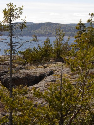 Clamber along the coastline