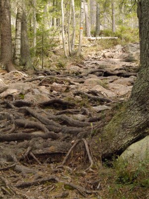 Our route ... hence mentions of clamboring!