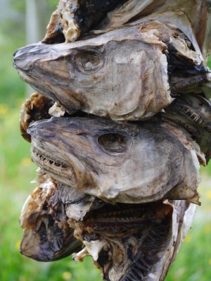 Close enough, thank you!