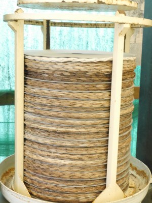Typical olive press.  The olives are ground up pastes onto the 'plates' and then pressed.  Nowadays the olives go to the collective large press in the town.