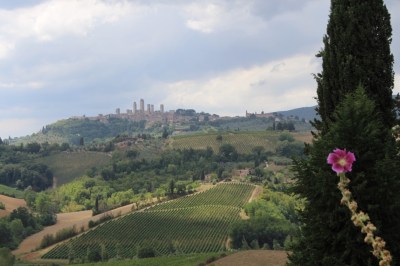 View back to San Gimignano