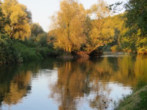 Perfect evening light 
