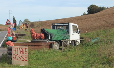 Lots of the 'older' farmers parked up with their tractors selling potatoes, onions and garlic. Most of the fields are now ploughed over and some are being planted with next year's crops.