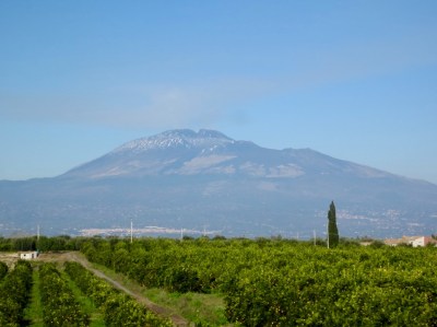 Etna and orange groves