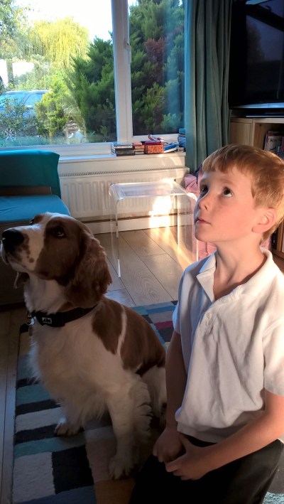 WP 20161004 08 32 07 Pro