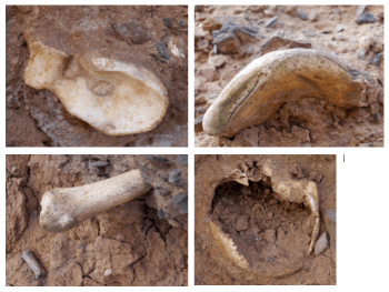 Screen Shot 2017 07 03 at 16 59 33