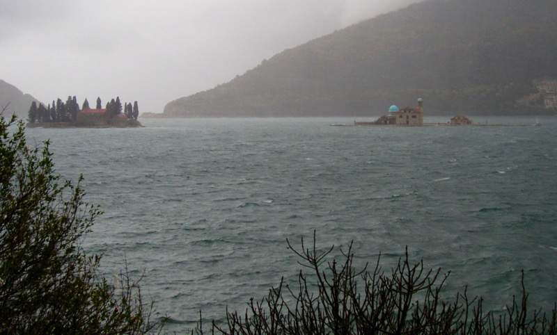 IMG_3766.jpg IMG 3766