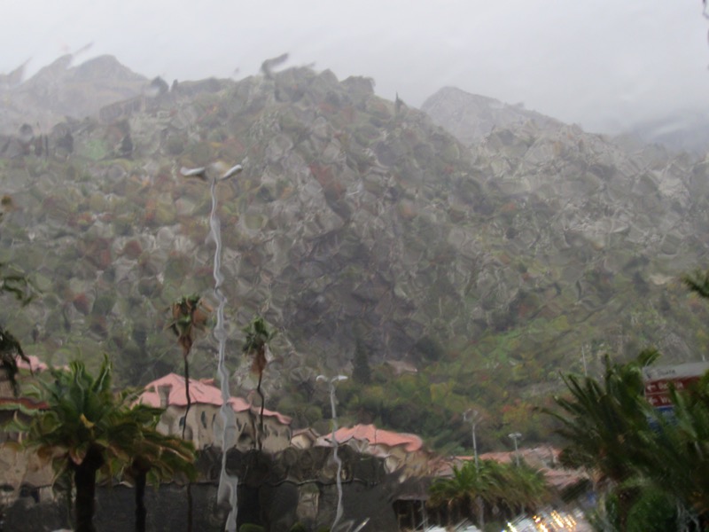 IMG_3767.jpg IMG 3767