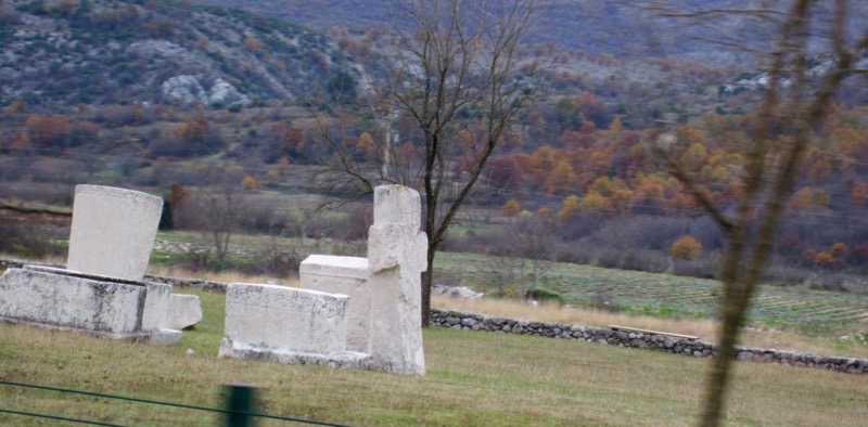 IMG_3786.jpg IMG 3786