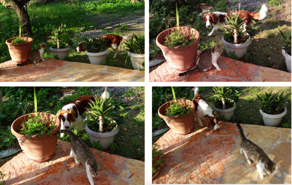 Screen Shot 2018 02 18 at 15 04 57