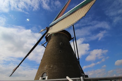 IMG_1375.jpg IMG 1375