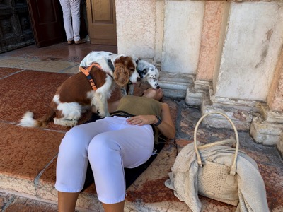 IMG_3613.jpeg IMG 3613