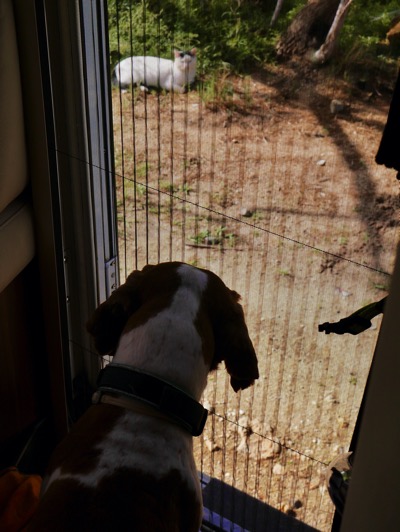 P1170756.jpeg P1170756