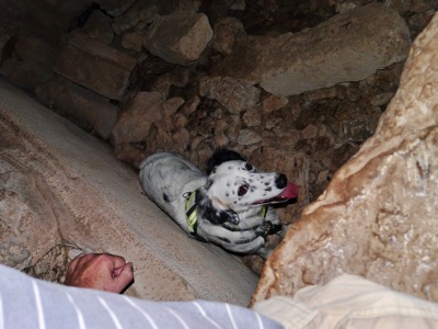 P1170776.jpeg P1170776