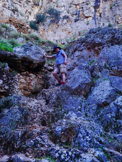 P1170799.jpeg P1170799