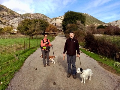 B9E72996 9A57 4A15 A6D4 3A86A5EB2B0A