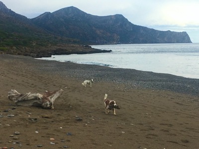 IMG_4467.jpeg IMG 4467