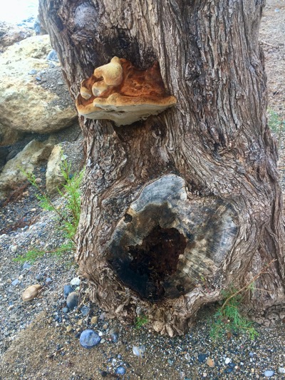 IMG_4469.jpeg IMG 4469