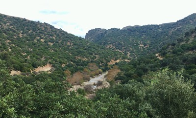 IMG_4477.jpeg IMG 4477