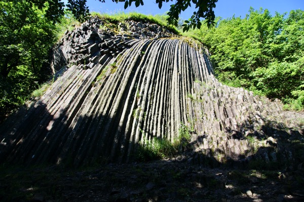 IMG_1858.jpeg IMG 1858