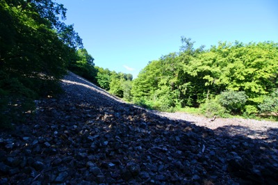 IMG_1859.jpeg IMG 1859