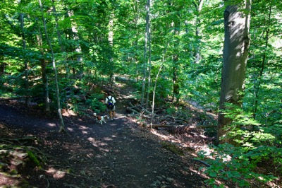 IMG_1860.jpeg IMG 1860