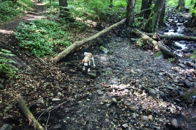 IMG_1866.jpeg IMG 1866