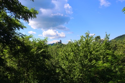 IMG_1867.jpeg IMG 1867