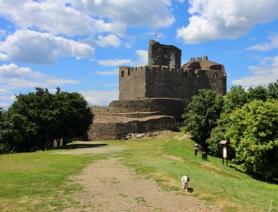 IMG_1872.jpeg IMG 1872