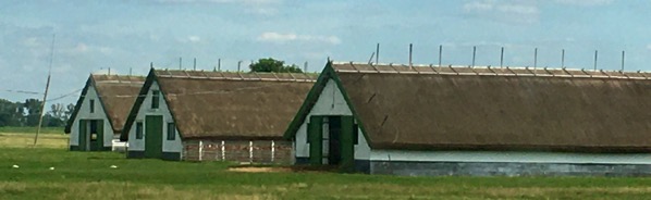 IMG_6027.jpeg IMG 6027