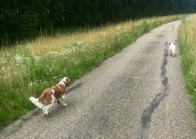 IMG_6046.jpeg IMG 6046