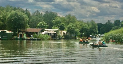 IMG_6050.jpeg IMG 6050