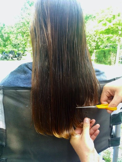 IMG_6100.jpeg IMG 6100