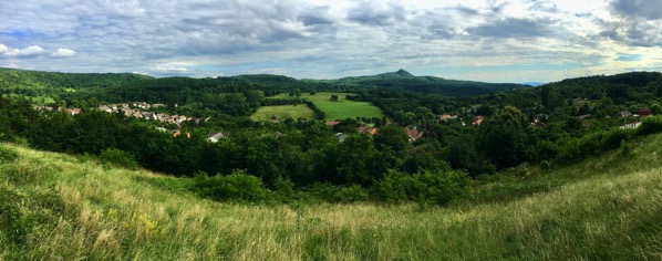 IMG_6114.jpeg IMG 6114