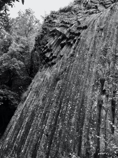 IMG_6135.jpeg IMG 6135