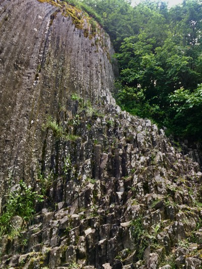 IMG_6137.jpeg IMG 6137