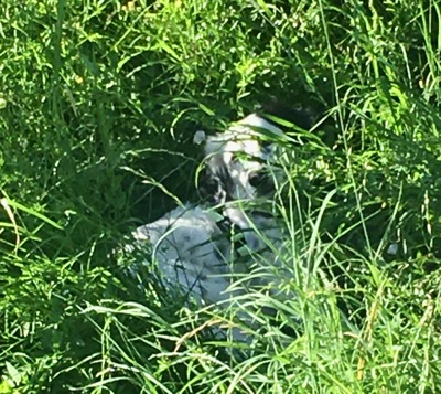 IMG_6146.jpeg IMG 6146