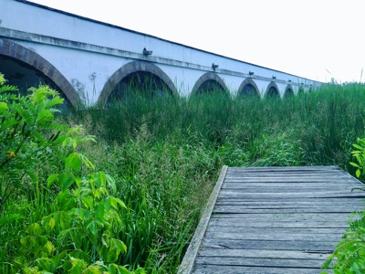 P1190623.jpeg P1190623