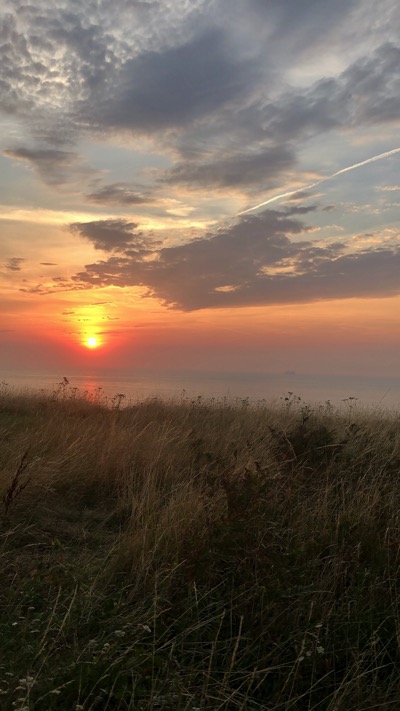 D82A6F3A EC4B 4C7E AAFA 8EF119351916