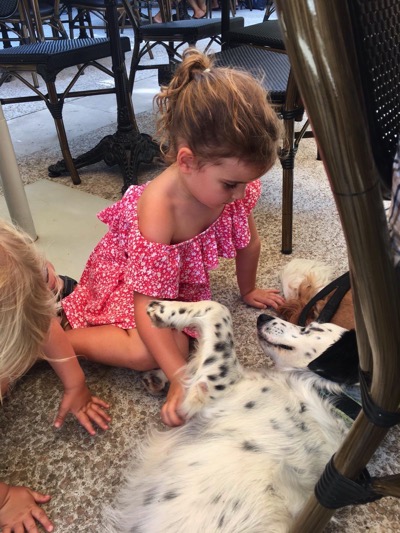 F05d5bcf afb8 4ba0 8b9f 44c8ae273b35