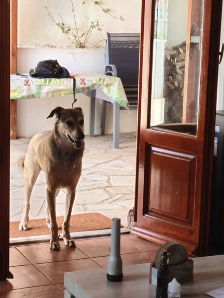 20210427_135708.jpg 20210427 135708