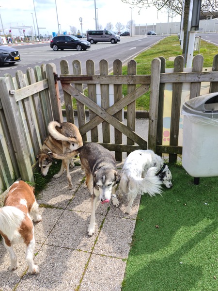 20210503_115342.jpg 20210503 115342