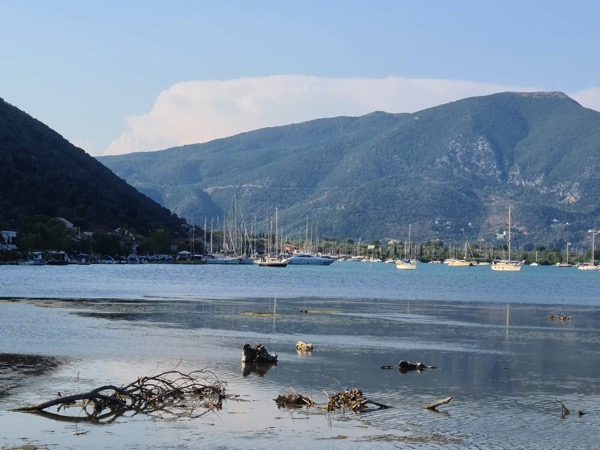 PHOTO 2022 07 11 15 58 35 2