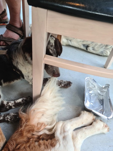 PHOTO 2022 07 11 15 58 57