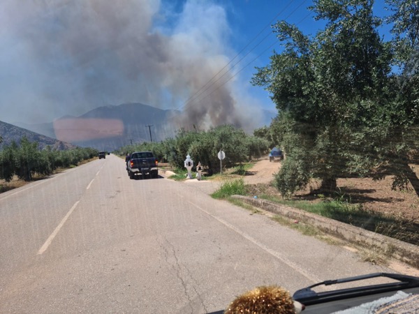 PHOTO 2022 07 11 15 59 40