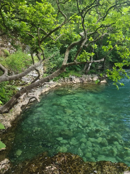 PHOTO 2022 07 11 15 57 55