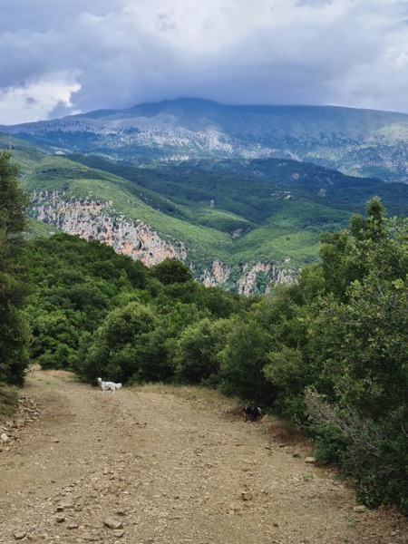 PHOTO 2022 07 11 15 58 26