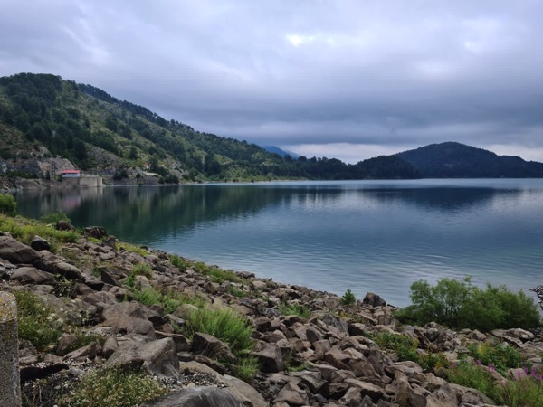 PHOTO 2022 07 11 15 58 44 2